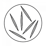 Микроиглы (спикулы)