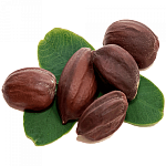 Масло жожоба