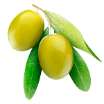 Масло оливы