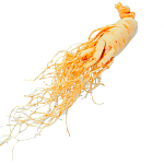 Женьшень